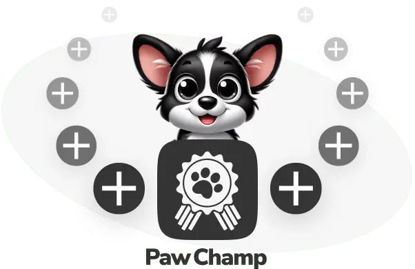 Kasper corgi for PawChamp invites dog experts to join us