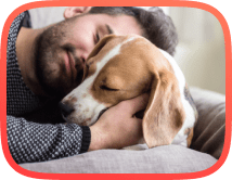 Man hugs his dog demonstrating strong bonding and affection caring about his pet