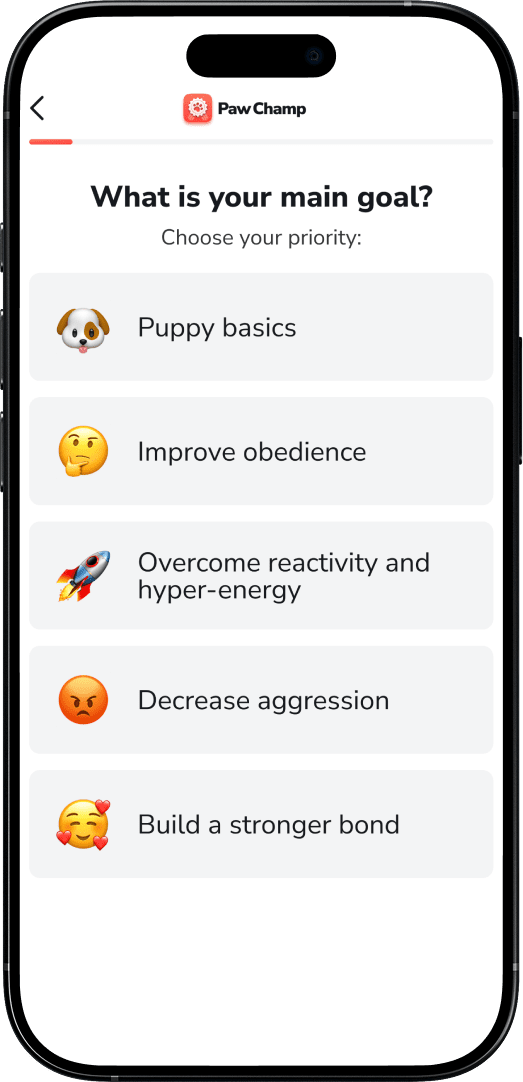 Mobile phone displaying a quiz question for dog experts