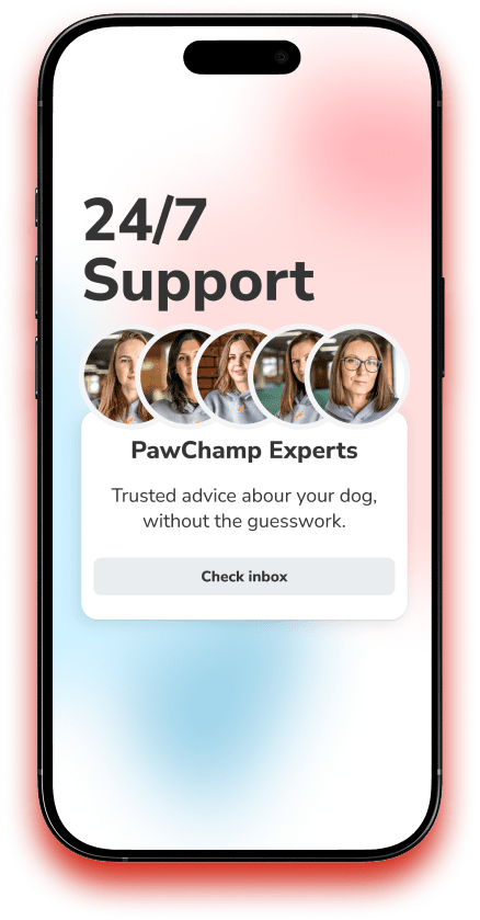 Mobile phone with support text for PawChamp