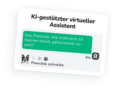 Ihr persönlicher Begleiter für Hundeerziehung & Pflege