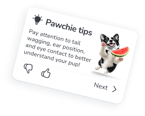 Your Personal Dog Training & Care Companion