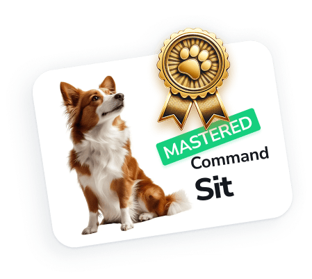 Your Personal Dog Training & Care Companion