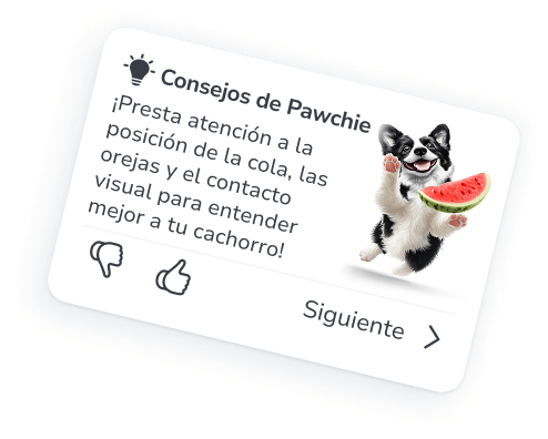 Tu compañero personal para entrenamiento y cuidado de tu perro