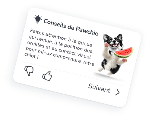 Votre compagnon personnel pour l’éducation canine et les soins