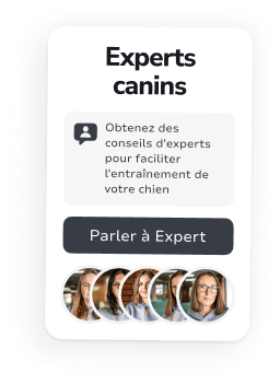 Votre compagnon personnel pour l’éducation canine et les soins