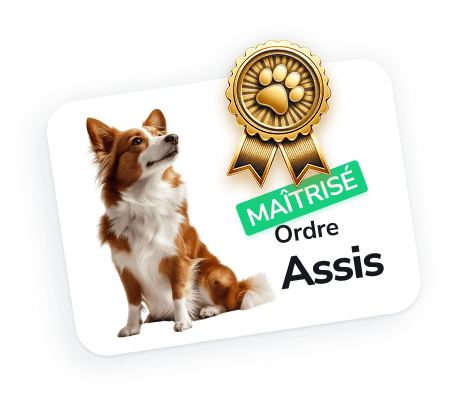 Votre compagnon personnel pour l’éducation canine et les soins