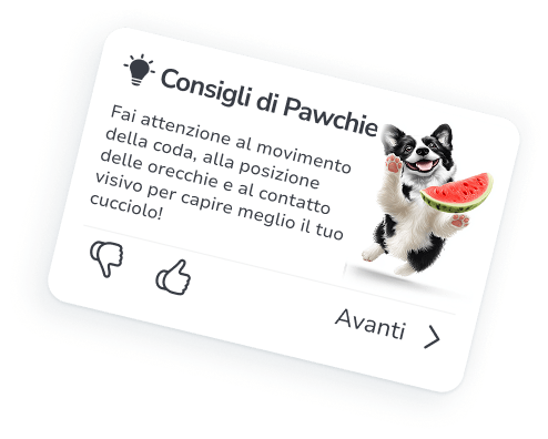 Il tuo compagno personale per l’addestramento e la cura del cane