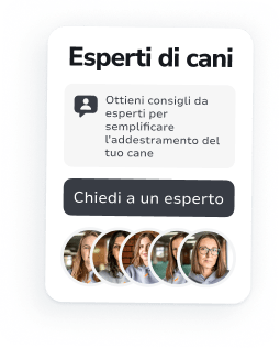 Il tuo compagno personale per l’addestramento e la cura del cane
