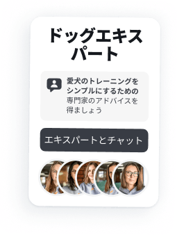 あなた専用のドッグトレーニング＆ケアコンパニオン