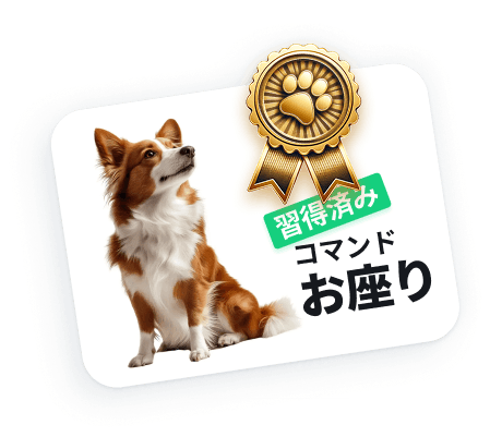 あなた専用のドッグトレーニング＆ケアコンパニオン