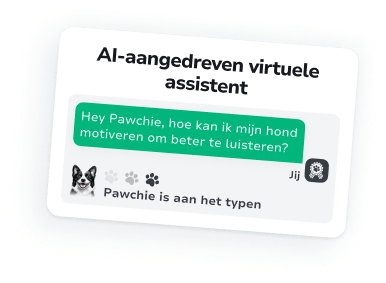 Jouw persoonlijke hondentrainings- en verzorgingsbegeleider