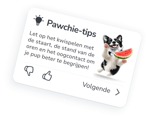 Jouw persoonlijke hondentrainings- en verzorgingsbegeleider