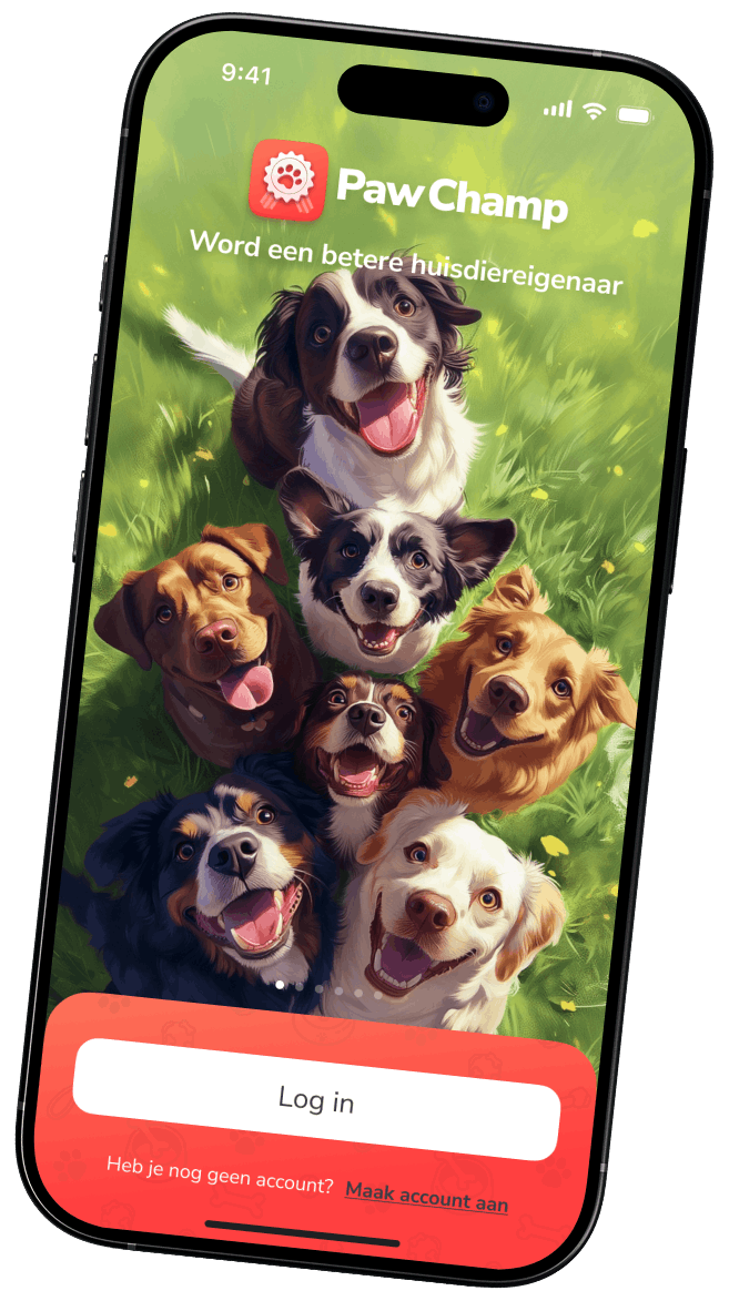 Jouw persoonlijke hondentrainings- en verzorgingsbegeleider