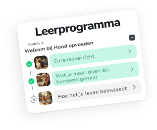 Jouw persoonlijke hondentrainings- en verzorgingsbegeleider