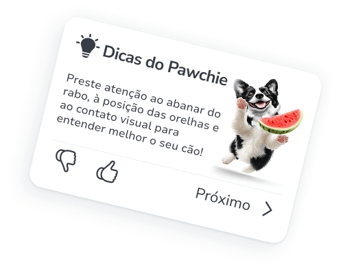 Seu companheiro pessoal para adestramento canino e cuidados