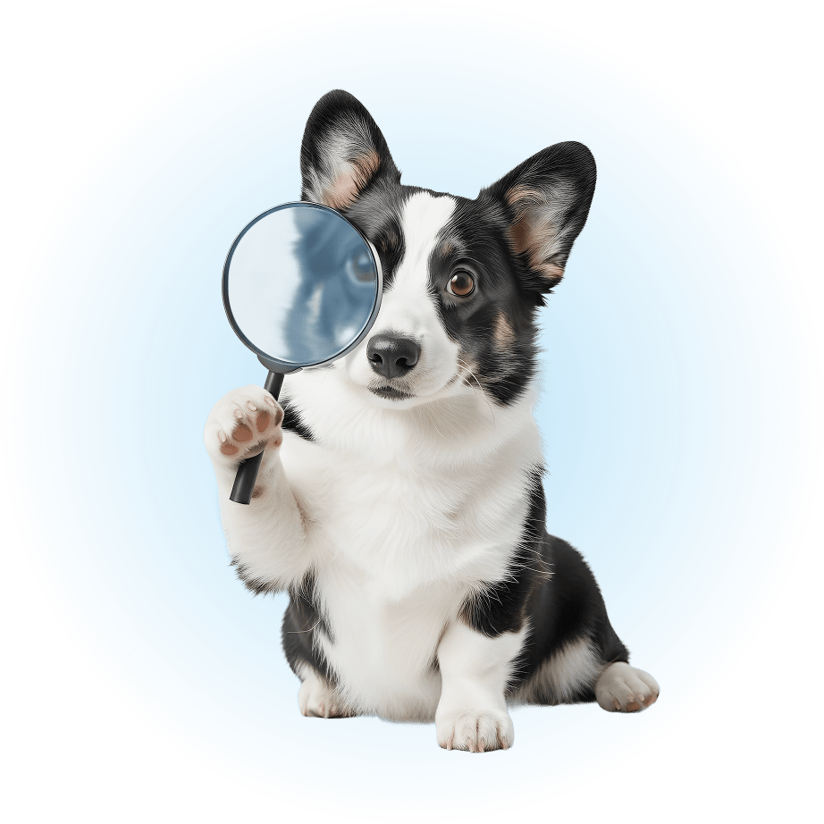 PawChamp dog mascot holding a magnifying glass with a search bar highlighting partnership categories