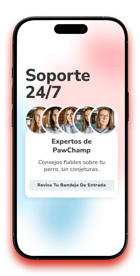 Teléfono móvil con texto de soporte para PawChamp Teléfono móvil con texto de soporte para PawChamp