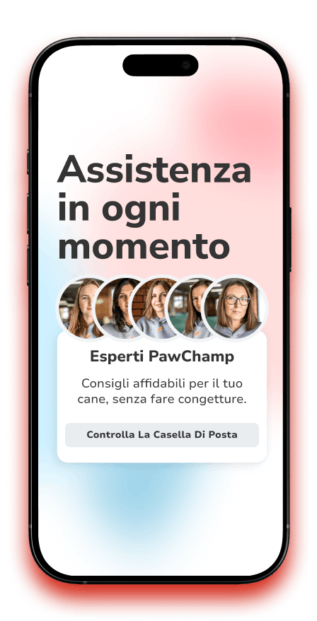 Telefono cellulare con testo di supporto per PawChamp