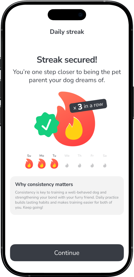Commit and track daily sessions to build lasting training habits and improve long-term recall.