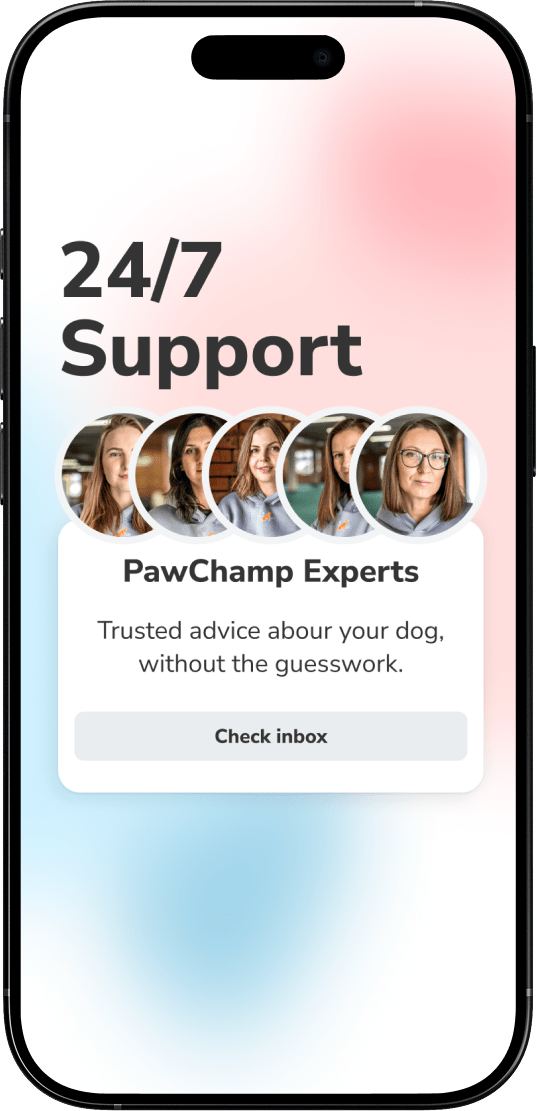 PawChamp connects you to dog trainers who answer your questions — 24/7.