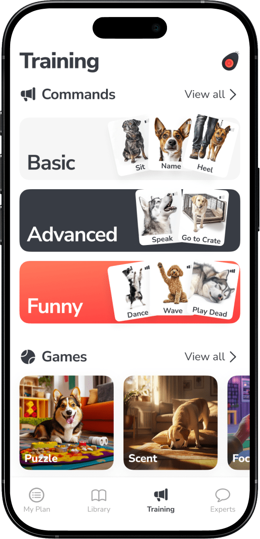 Explore quick commands and games that support long-term obedience and daily mental stimulation.