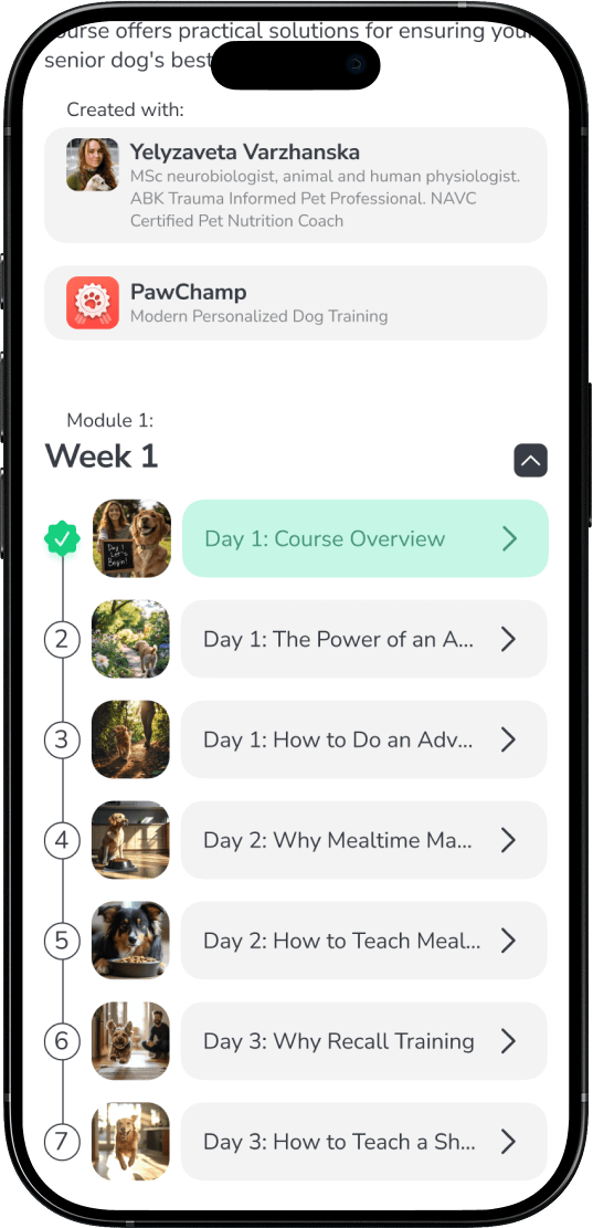 Start training with clear steps to know exactly what to do and why it helps your dog behave better.