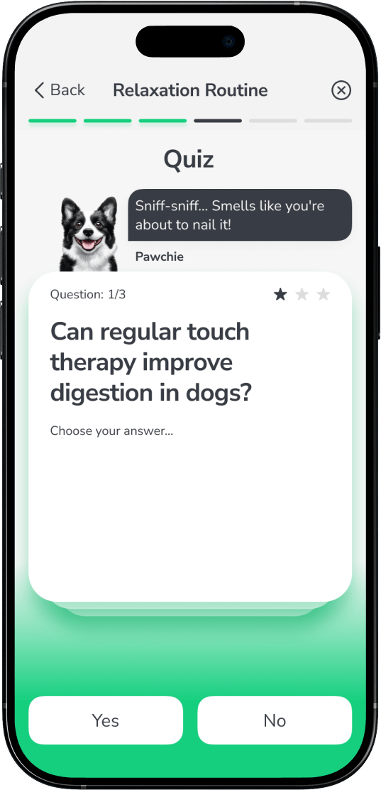 Test your knowledge and strengthen key dog training skills after every lesson.