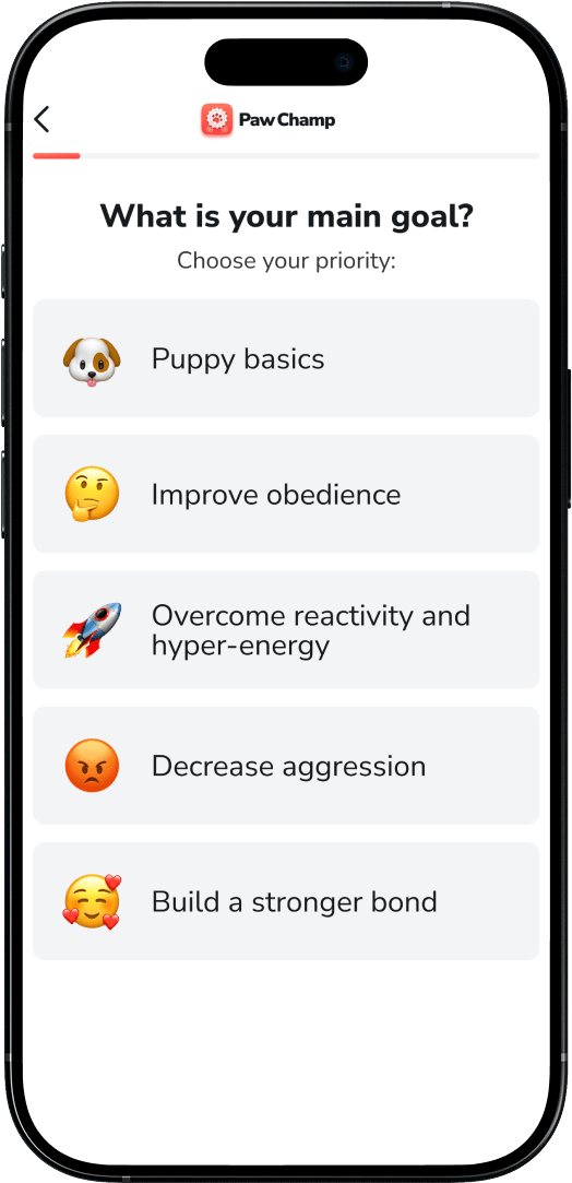 PawChamp App
