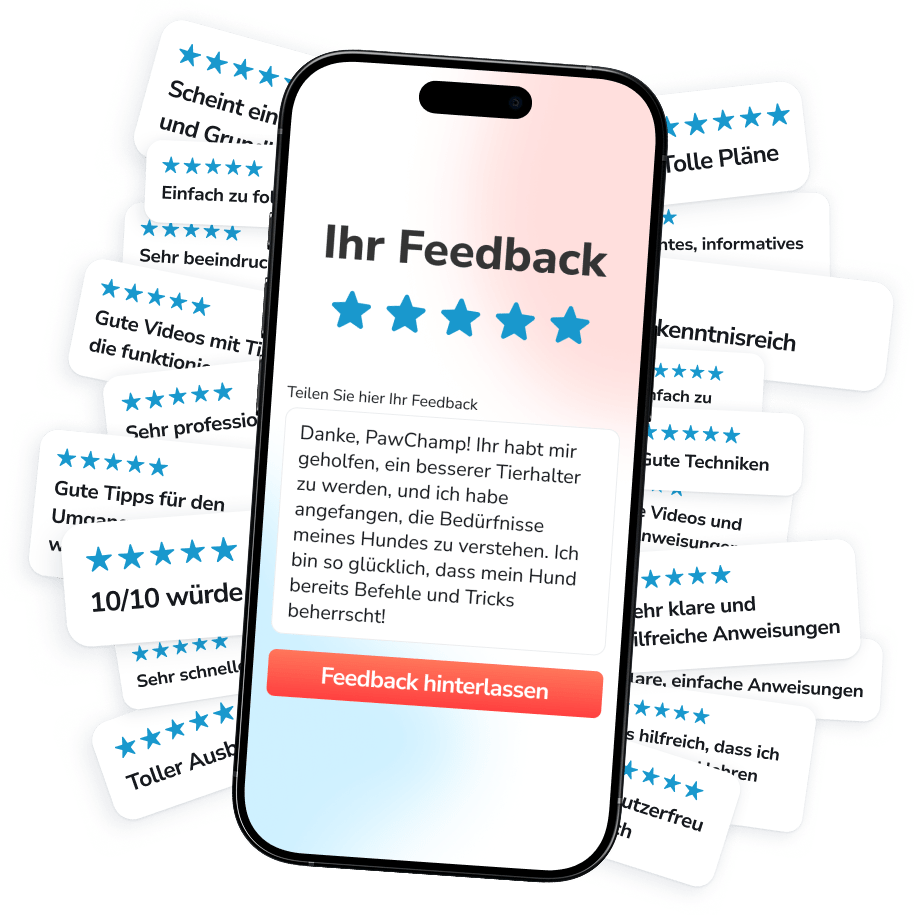 Werden Sie Teil einer Gemeinschaft von 250.000 Hundebesitzern – für Austausch, Unterstützung und gemeinsame Entwicklung!