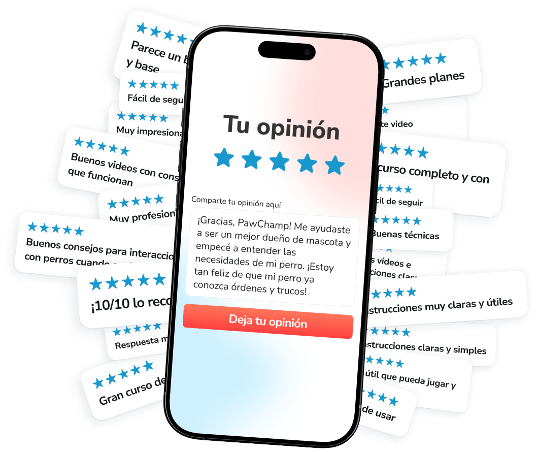 ¡Únete a una comunidad activa de más de 250,000 dueños de perros comprometidos que entrenan, cuidan y crecen junto con PawChamp!