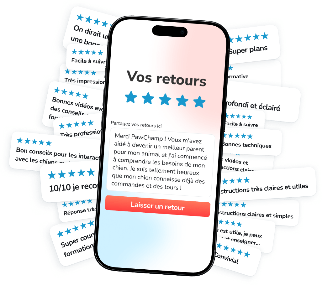 Rejoignez une communauté dynamique de plus de 250 000 propriétaires de chiens engagés qui s’entraident et grandissent ensemble avec PawChamp !