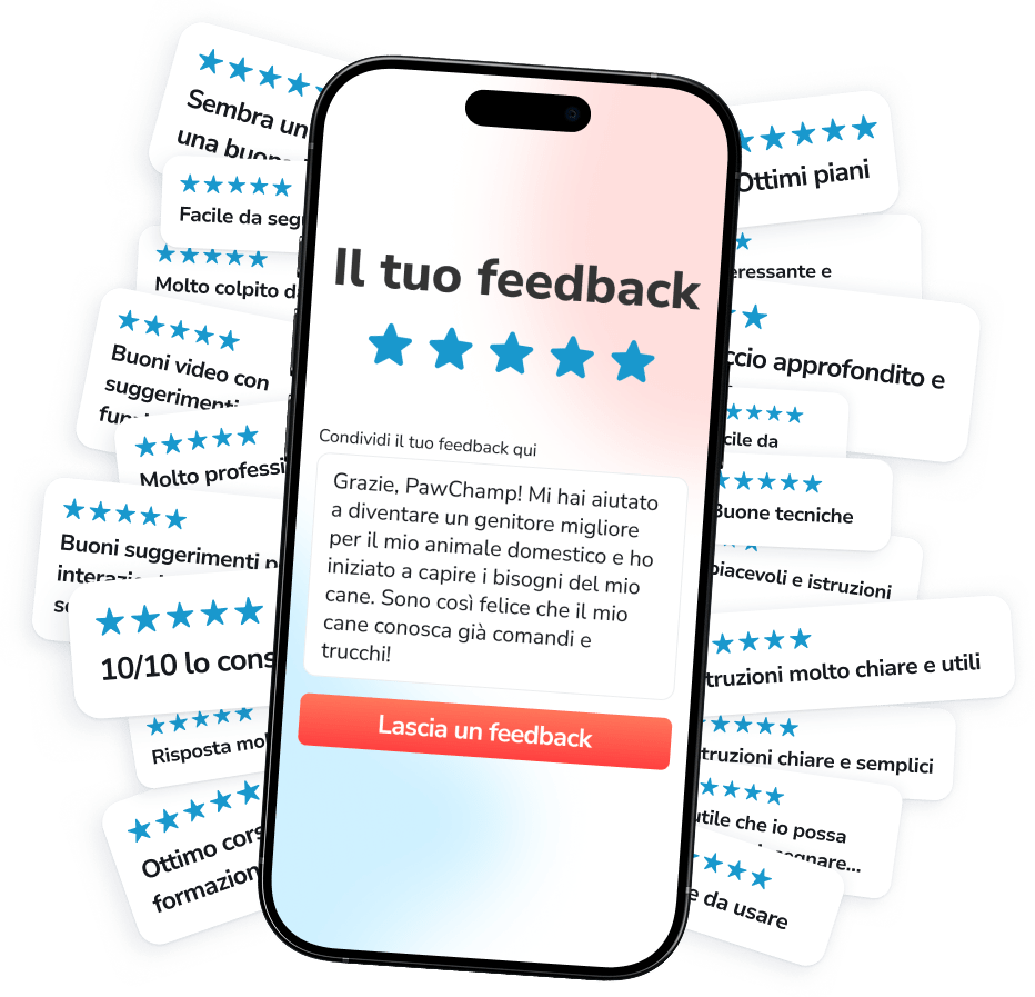 Entra a far parte di una comunità attiva con oltre 250.000 proprietari di cani impegnati che addestrano, si prendono cura e crescono con PawChamp!
