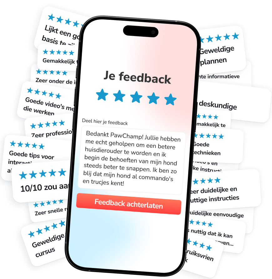 Word onderdeel van een bruisende community van meer dan 250.000 toegewijde hondeneigenaren die samen trainen, zorgen en groeien met PawChamp!