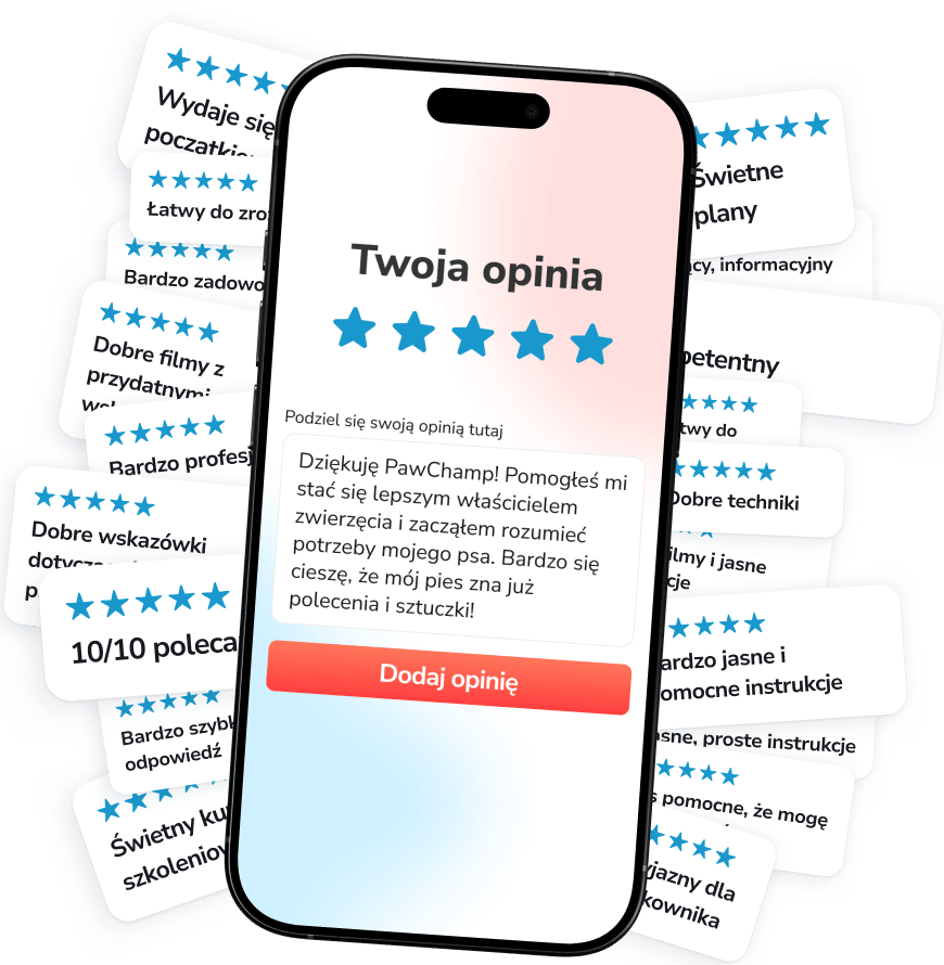 Dołącz do prężnie działającej społeczności ponad 250 000 zaangażowanych opiekunów psów, którzy trenują, dbają i rozwijają się z PawChamp!